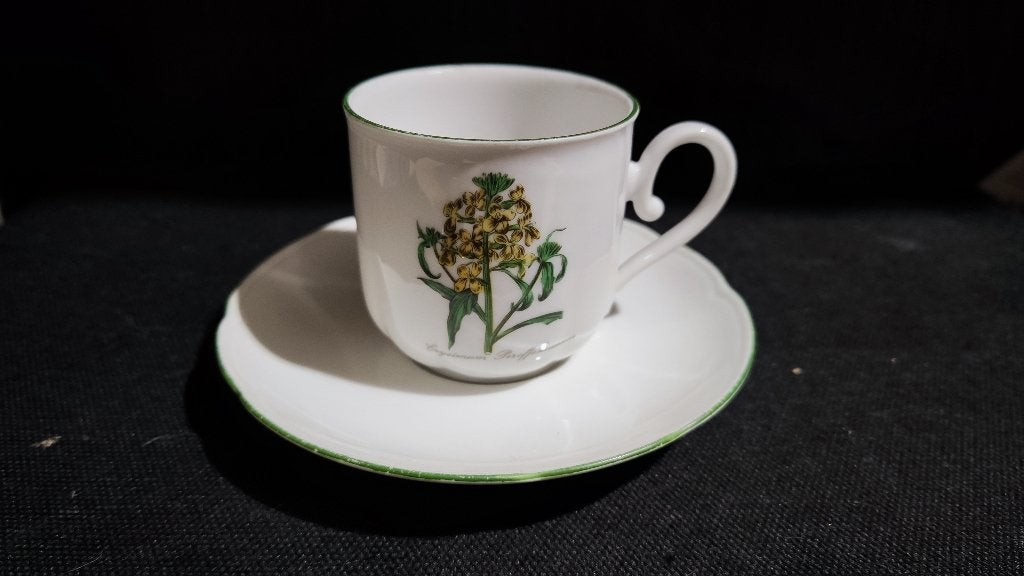 Vintage Seltmann Weiden Bavaria Botanical Cup, Verzenden, Porselein, Kop en/of schotel