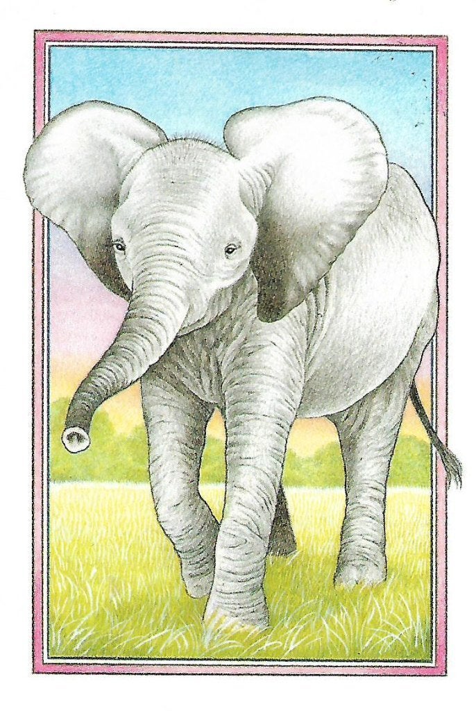 Dieren- -Olifant., Ophalen of Verzenden, 1980 tot heden, Gelopen, Wild dier