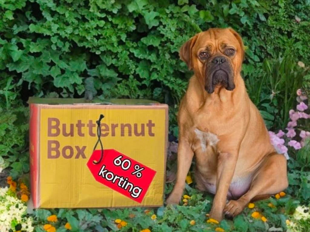 60 % korting ButternutBox, Dieren en Toebehoren, Dierenvoeding, Ophalen, Hond