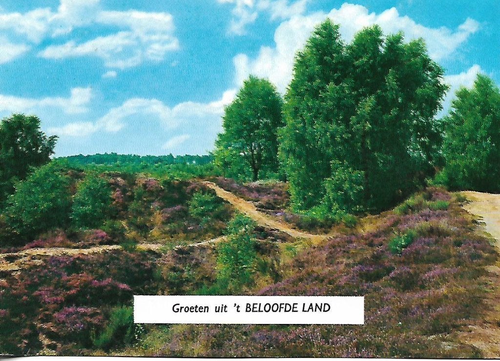 Voorthuizen- -'t Beloofde land., Verzenden, 1980 tot heden, Gelopen, Gelderland