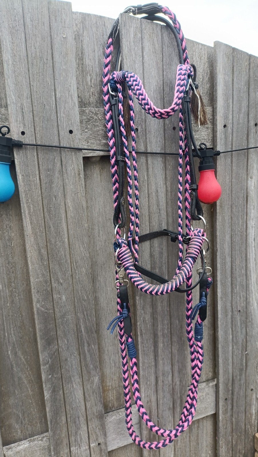 Bitloos hoofdstel maat full, Ophalen of Verzenden, Roze, Hoofdstel, Full