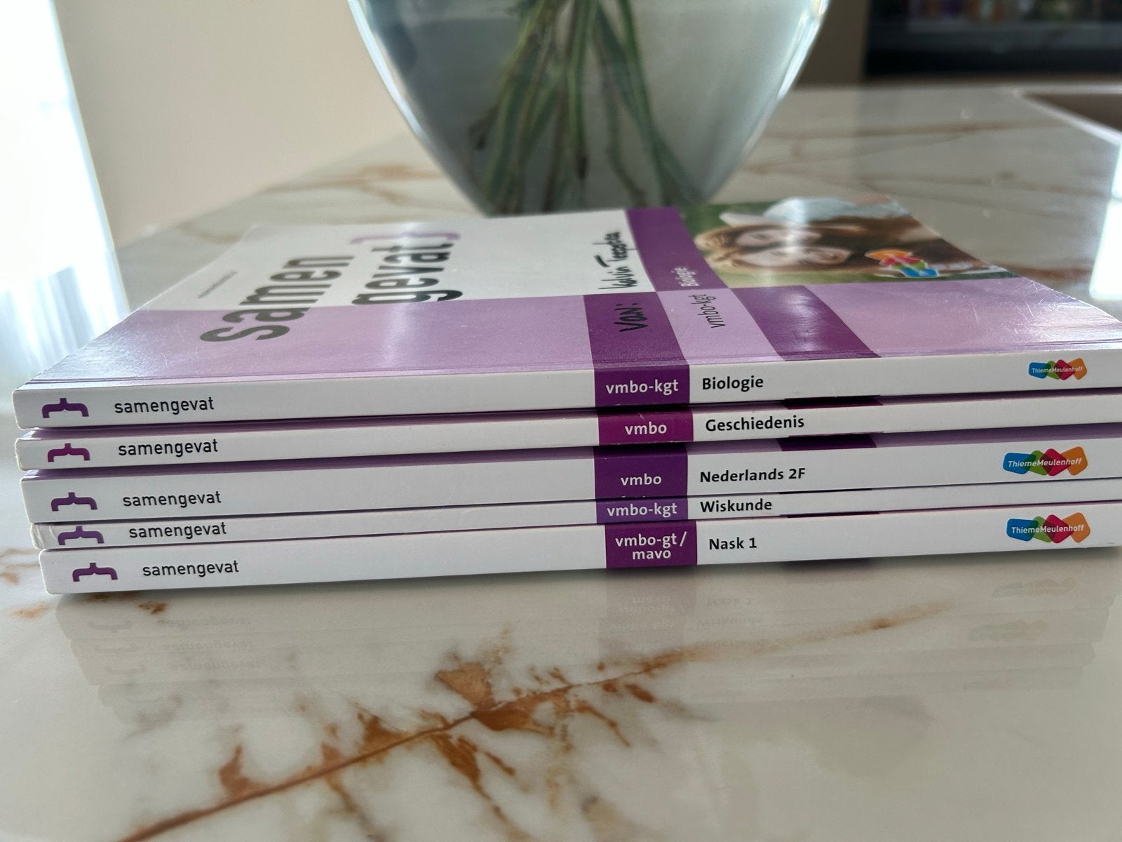 Ook slagen? Mavo eindexamen boeken en samenvattingen, Boeken, Schoolboeken, Ophalen of Verzenden, Zo goed als nieuw, VMBO, Overige vakken