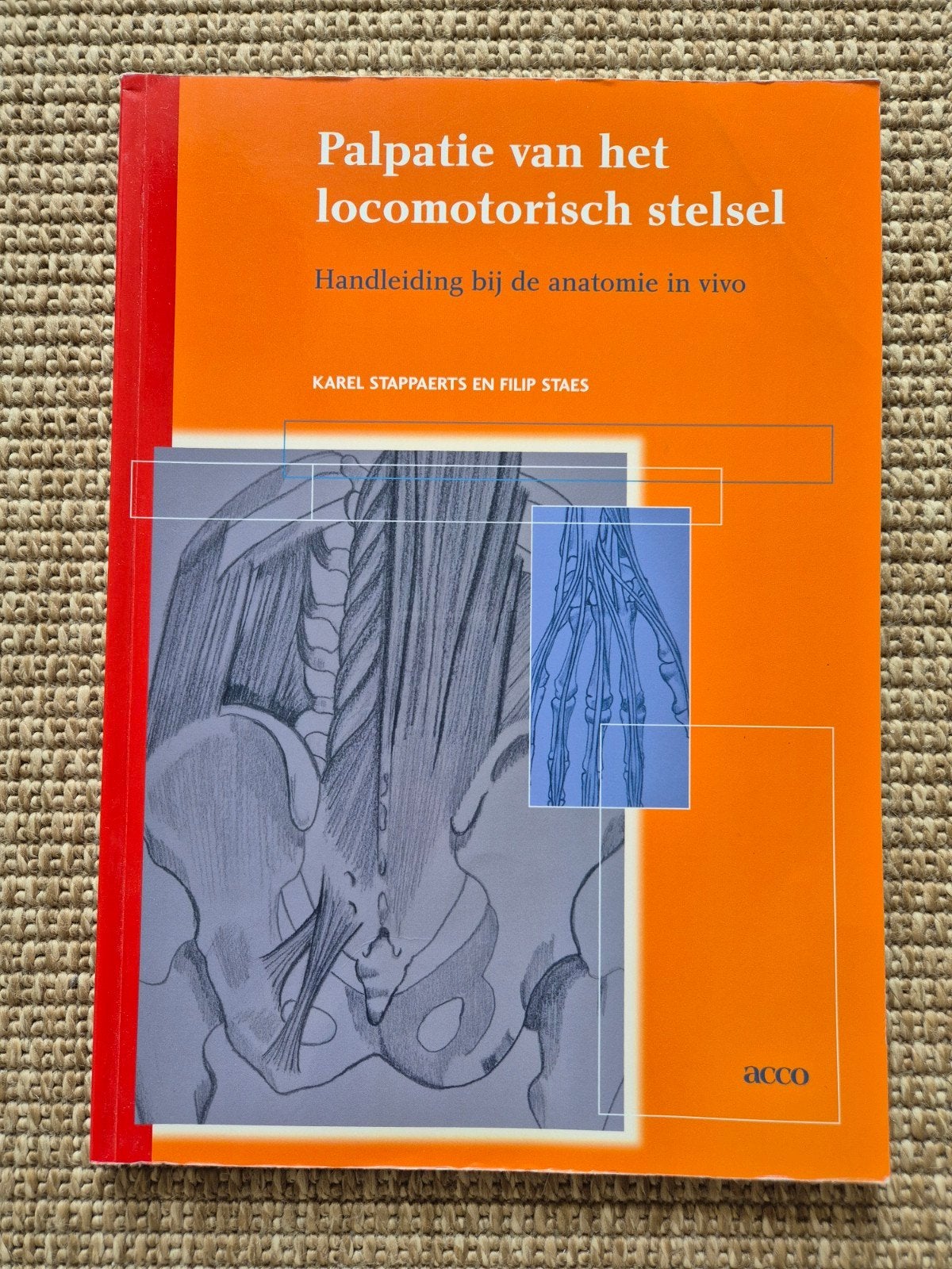 Palpatie van het locomotorisch stelsel - Anatomie in vivo, Boeken, Gelezen, Karel Stappaerts, Filip Staes, Beta, HBO
