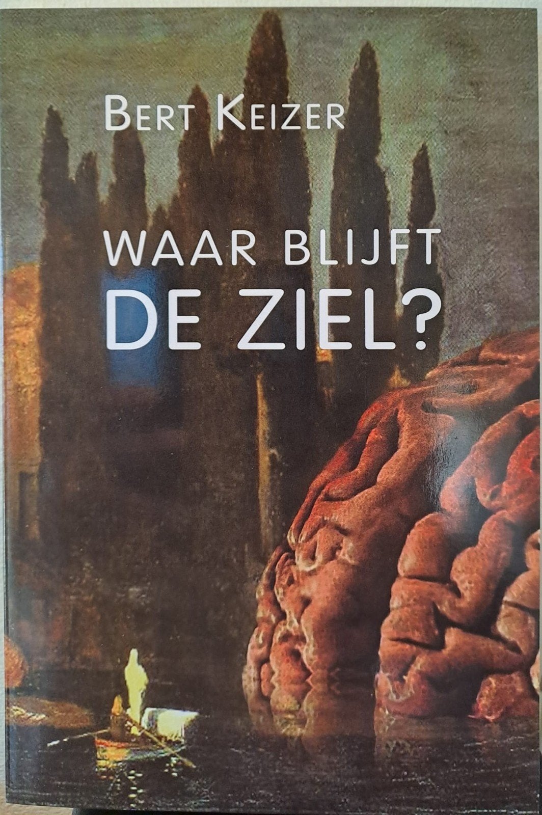 Waar Blijft De Ziel? - Esoterie en Wetenschap, Achtergrond en Informatie, Ziel of Sterfelijkheid, Verzenden, Zo goed als nieuw