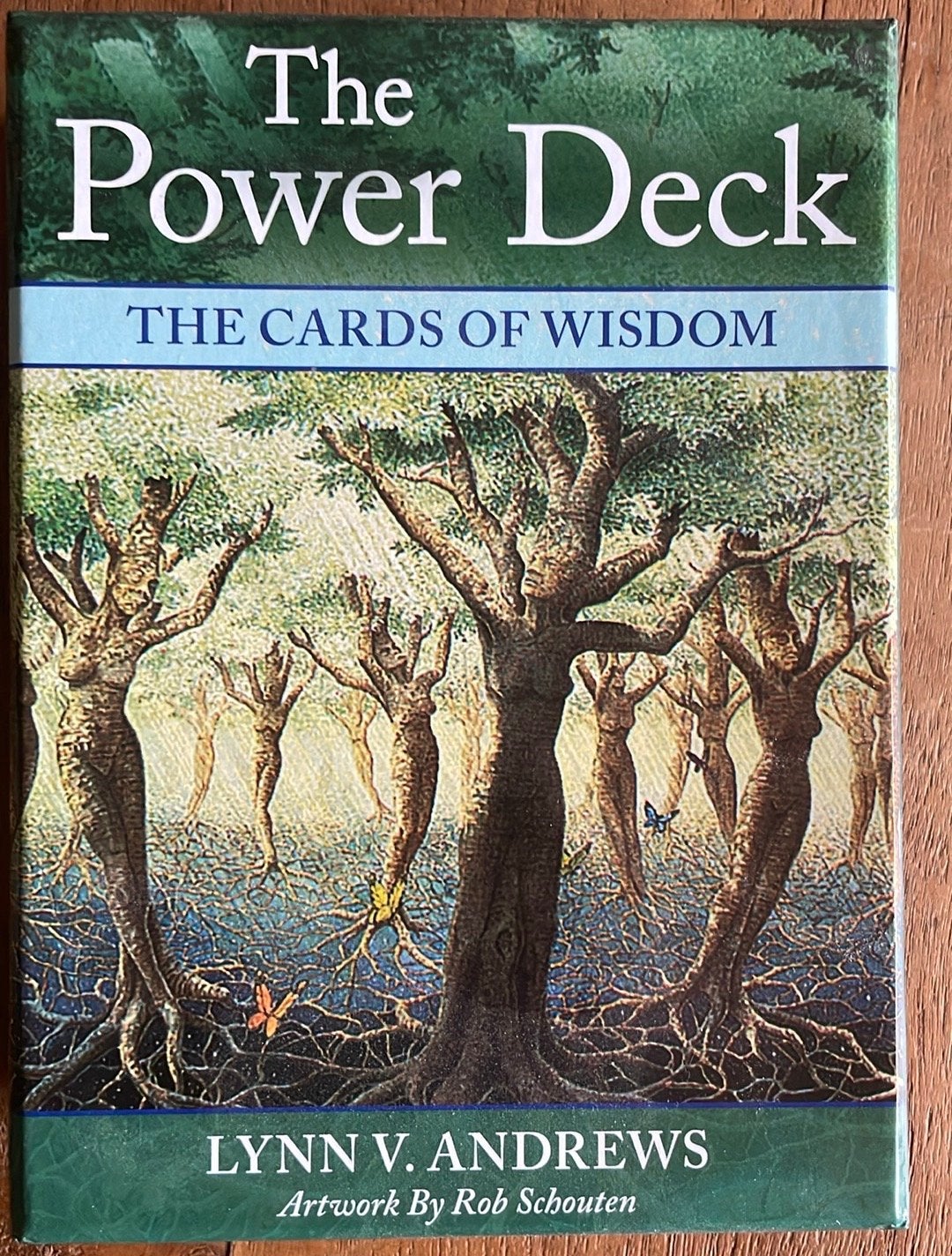 The Power Deck: The Cards of Wisdom - Lynn V. Andrews, Boeken, Ophalen of Verzenden, Zo goed als nieuw, Spiritualiteit algemeen