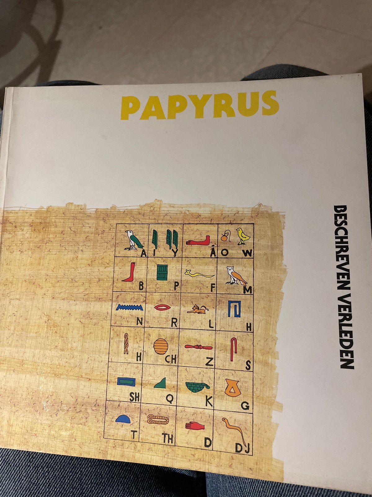 Papyrus: Beschreven Verleden - Egyptische Hiërogliefen Boek, Boeken, Ophalen of Verzenden, 20e eeuw of later, Zo goed als nieuw
