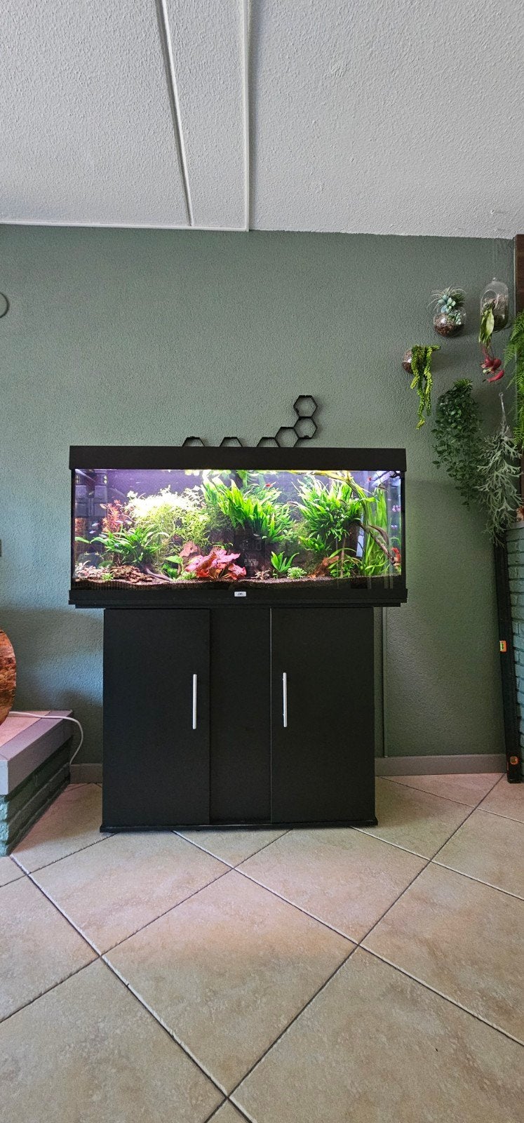 Juwel Rio 240 incl. meubel en extern filter, Dieren en Toebehoren, Vissen | Aquaria en Toebehoren, Gebruikt, Leeg aquarium, Juwel