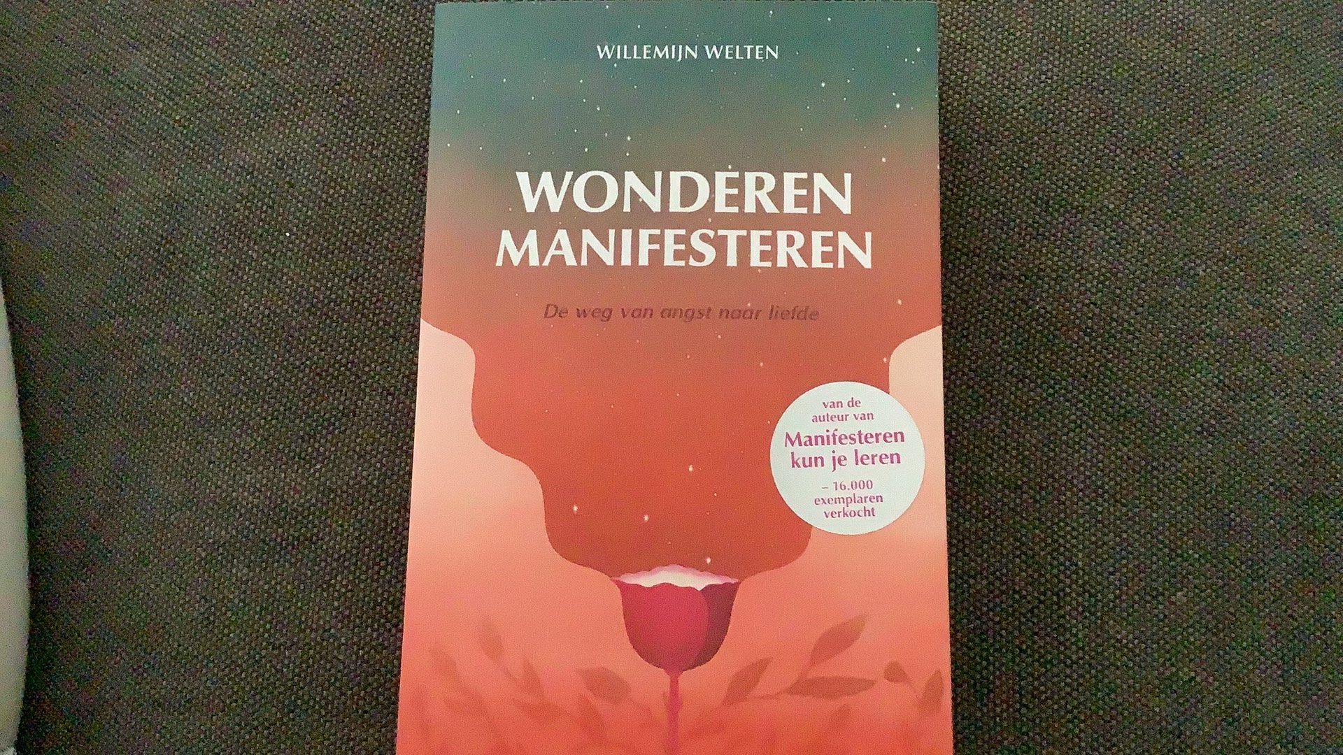 Willemijn Welten - Wonderen manifesteren, Ophalen of Verzenden, Zo goed als nieuw, Willemijn Welten