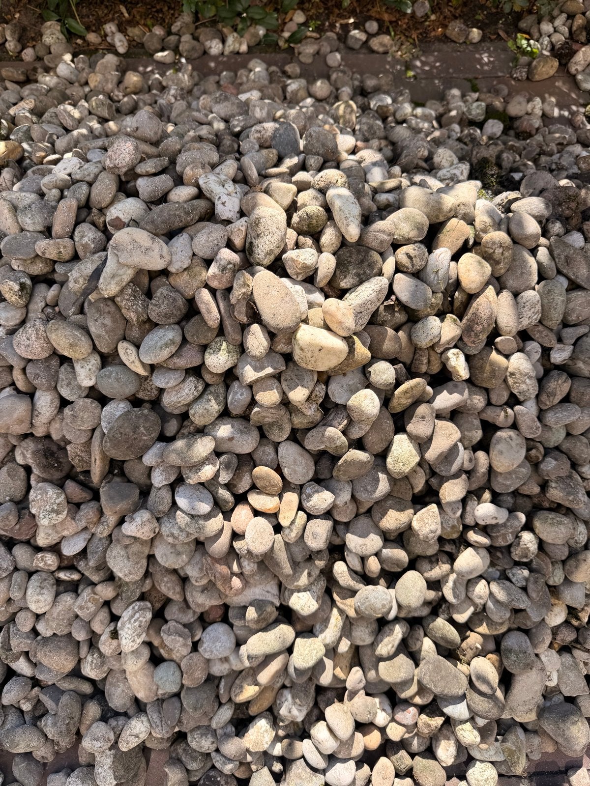 Gratis Kiezelstenen voor tuin of decoratie, Ophalen, Gebruikt, Overige typen