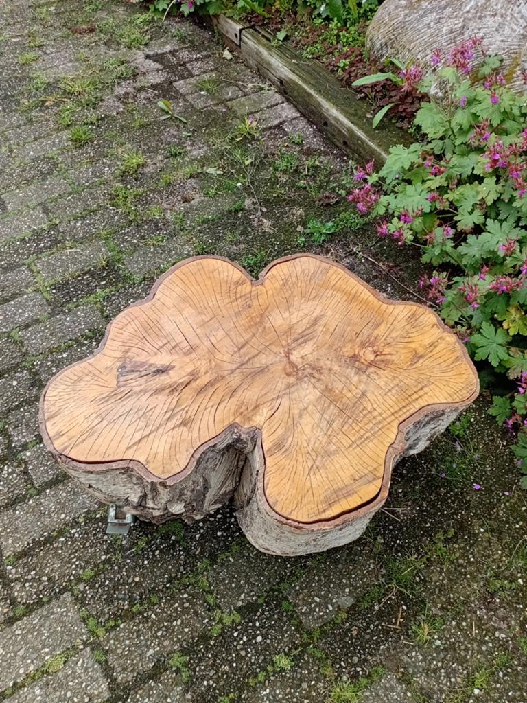 Boomstam op wielen, Ophalen, Rechthoekig, 60 cm of meer
