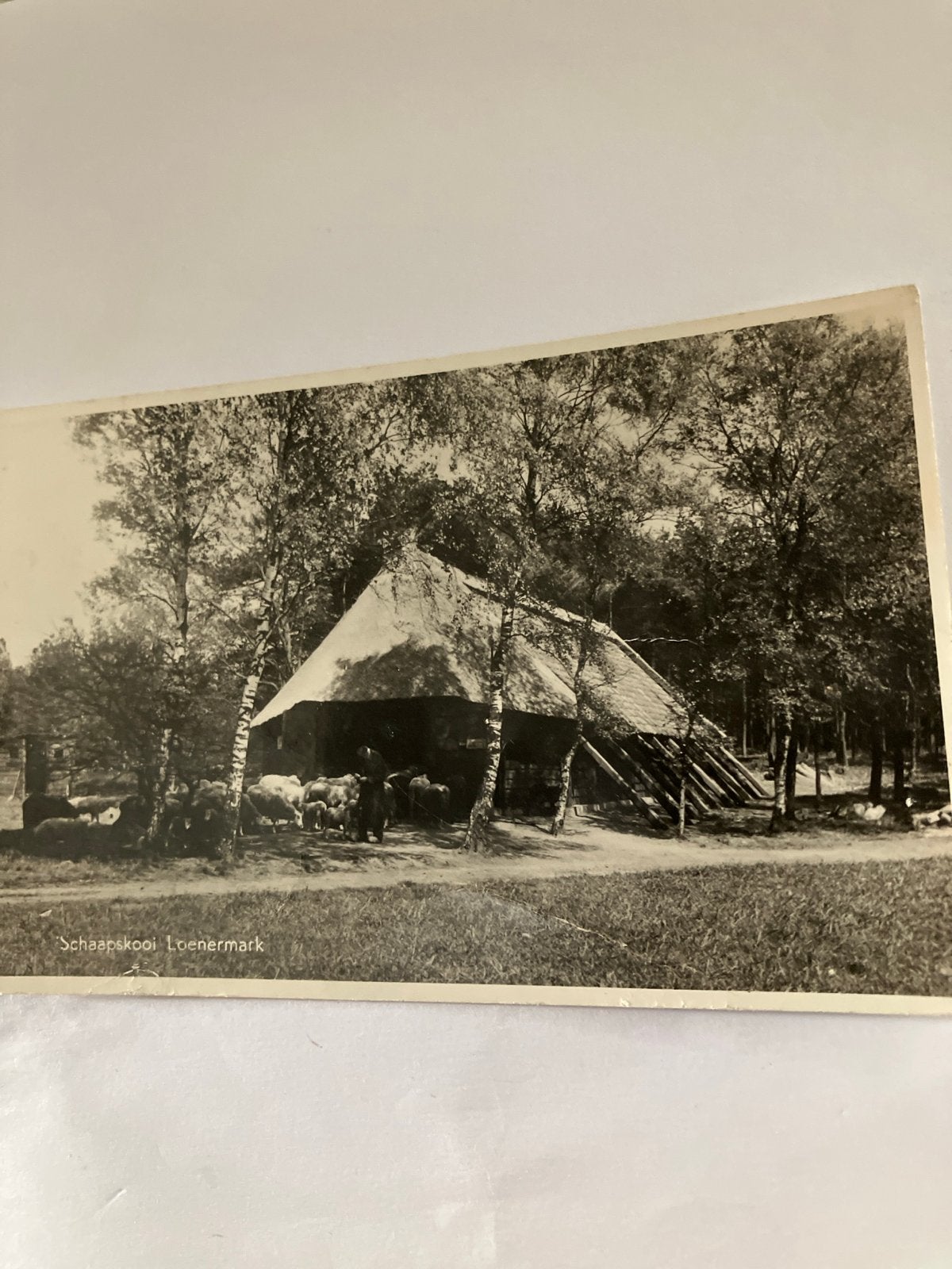 Oude Ansichtkaart Schaapskooi Loenermark Gelopen, Ophalen of Verzenden, Voor 1920, Gelopen, Gelderland