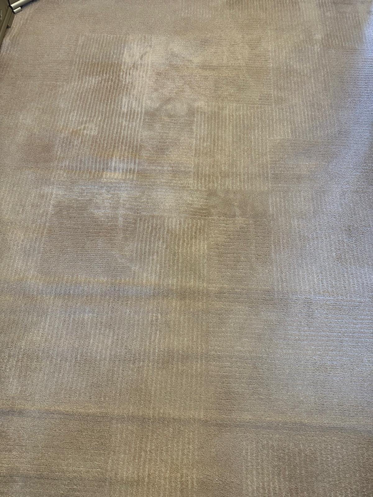 Twee vloerkleden (3x4m en 2x3m) - ook los verkrijgbaar, Gebruikt, Ophalen of Verzenden, 200 cm of meer, Grijs