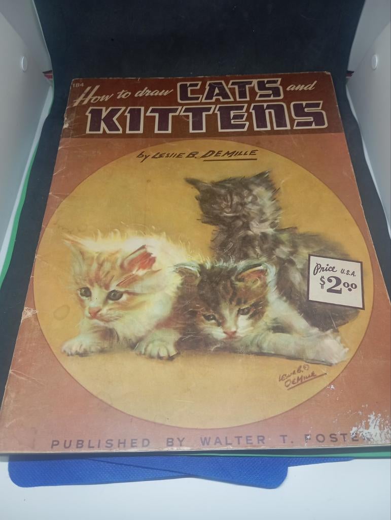 Vintage Tekenboek: Hoe Katten en Kittens te Tekenen, Ophalen of Verzenden, Gelezen, Overige onderwerpen, Leslie B. DeMille
