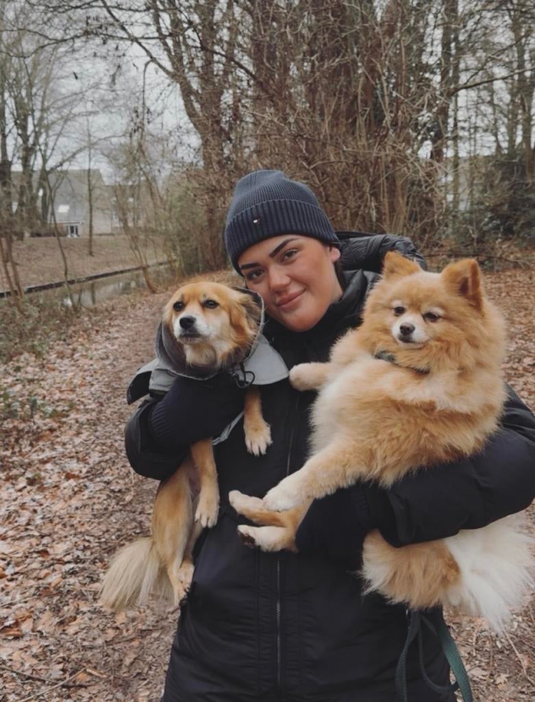 Liefdevolle en betrouwbare honden, katten oppas in Den Haag!, Ophalen