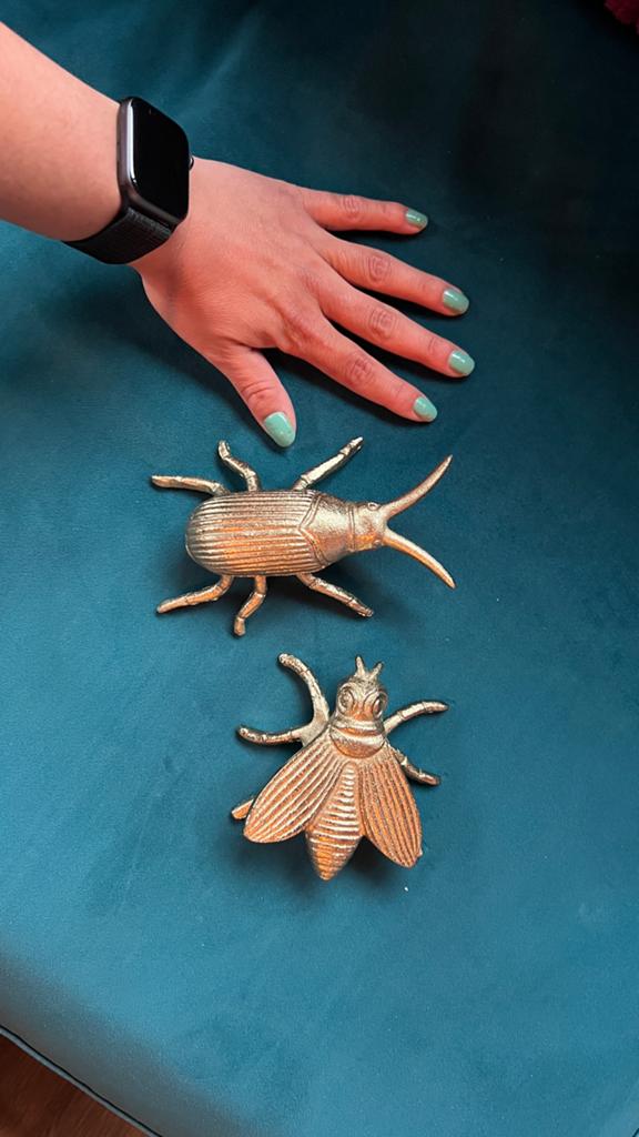 Gouden metalen insecten decoratie (vlieg en kever), Ophalen, Gebruikt, Goud, Metaal