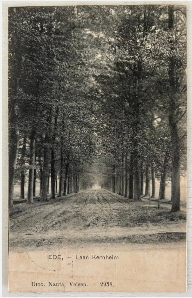 Oude Ansichtkaart - Ede - Laan Kernheim (1908), Verzamelen, Ansichtkaarten | Nederland, Ophalen of Verzenden, Voor 1920, Gelopen