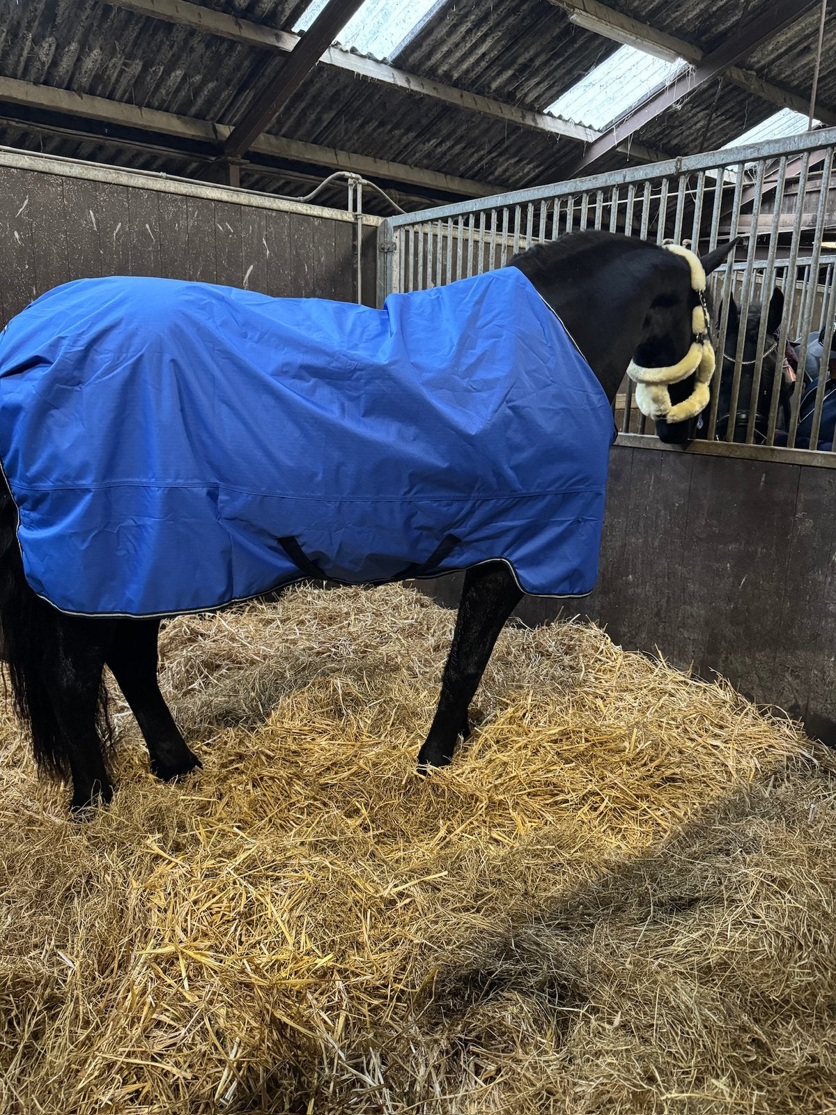 Amigo Ripstop Regendeken 0 gr maat 145/198 + Amigo hals L, Dieren en Toebehoren, Full (L), 0 g, Ophalen of Verzenden, Zo goed als nieuw