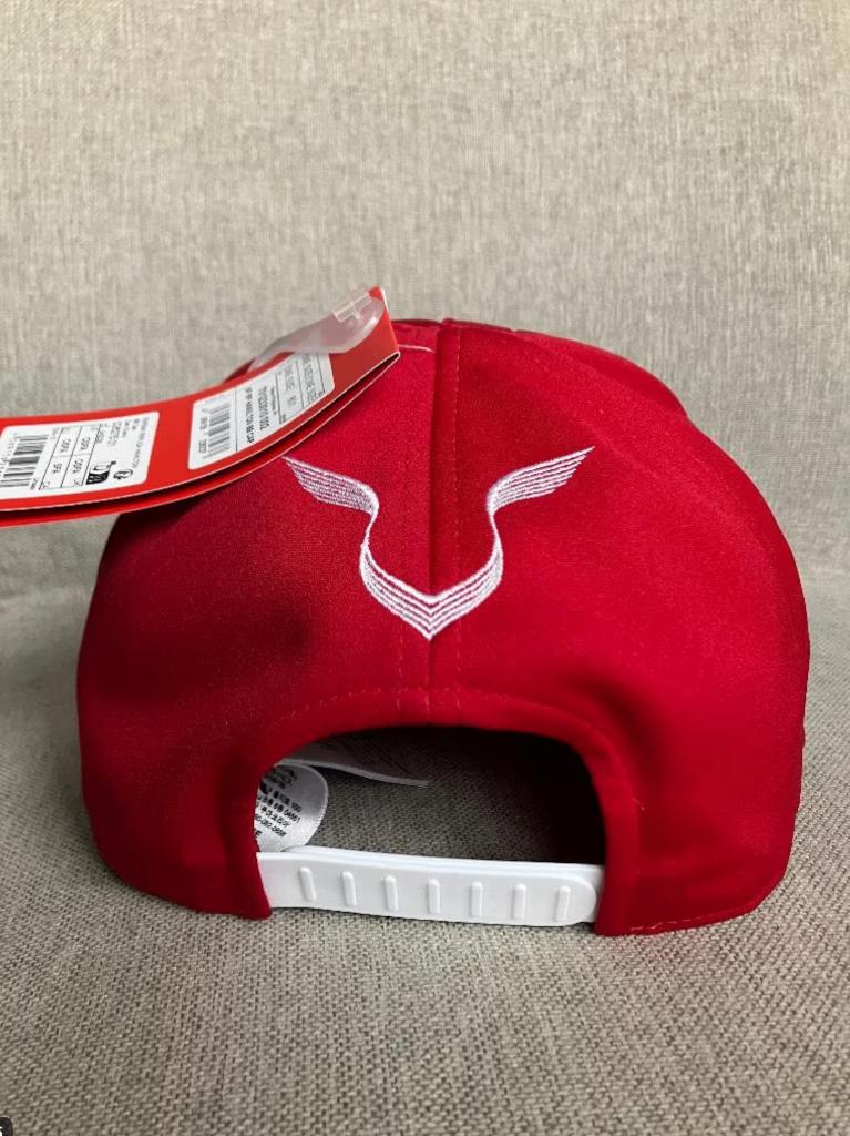 ✅ Lewis Hamilton 2025 Team cap Ferrari Formula 1 Puma, Ophalen of Verzenden, Nieuw, Formule 1