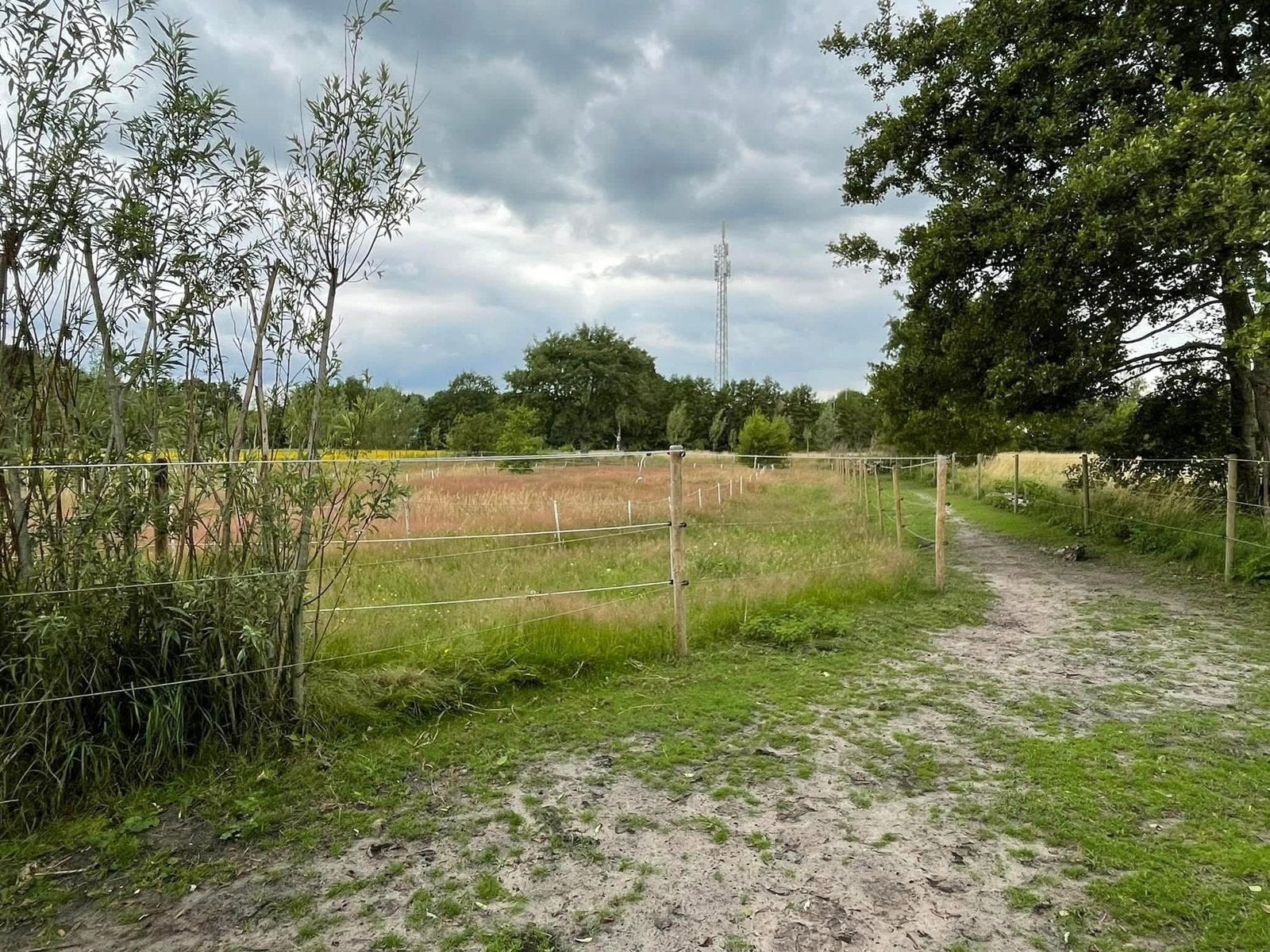 Stalhulp Gezocht (2-4x per week), Weidegang