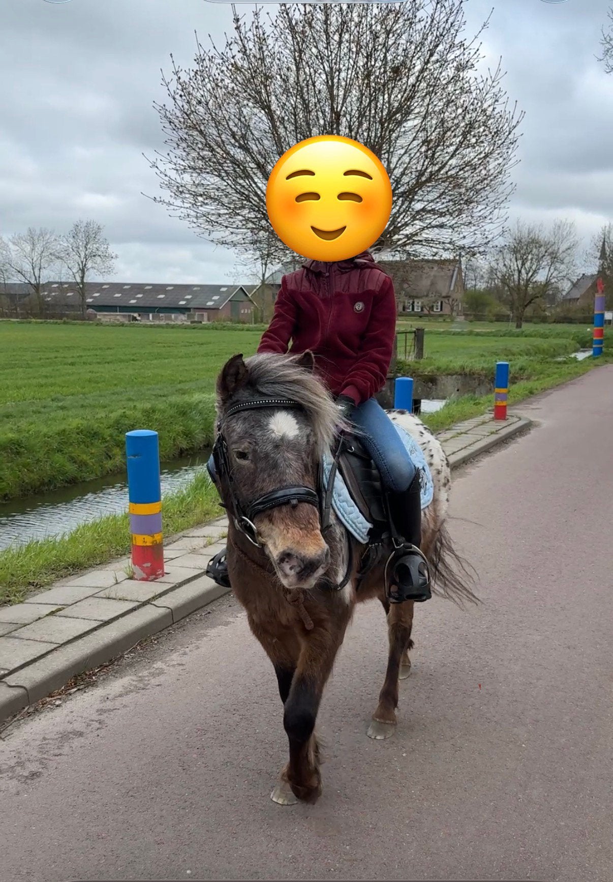 Hele leuke Appalooza kinderpony, Merrie, A pony (tot 1.17m), 0 tot 2 jaar