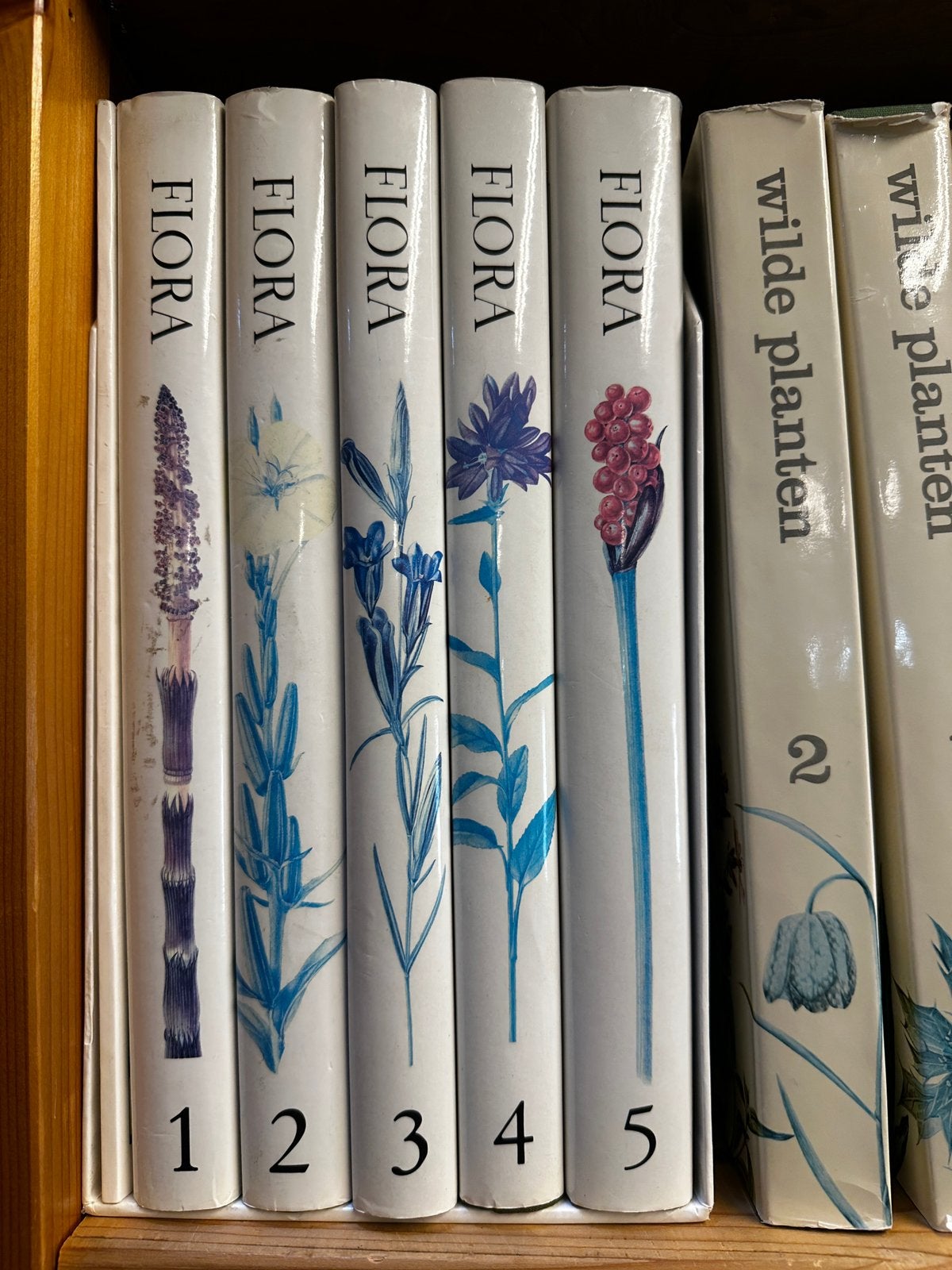 Complete oecologische flora - weeda - prachtstaat !, Boeken, Encyclopedieën, Ophalen of Verzenden, Zo goed als nieuw, Bloemen en Planten