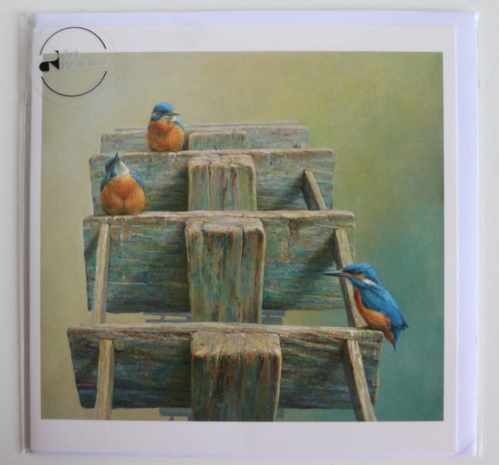 Dubbele kaart met envelop. IJsvogels, Erik van Ommen, nieuw, Verzamelen, Ophalen of Verzenden, 1980 tot heden, Ongelopen, Vogel
