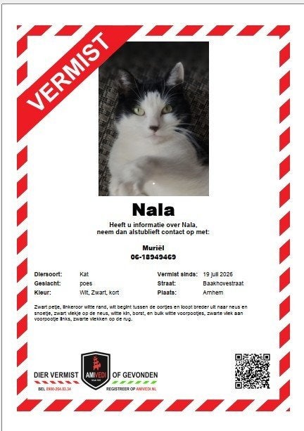 Nala is nogsteeds vermist :(, Dieren en Toebehoren, Vermiste en Gevonden Dieren, Kat