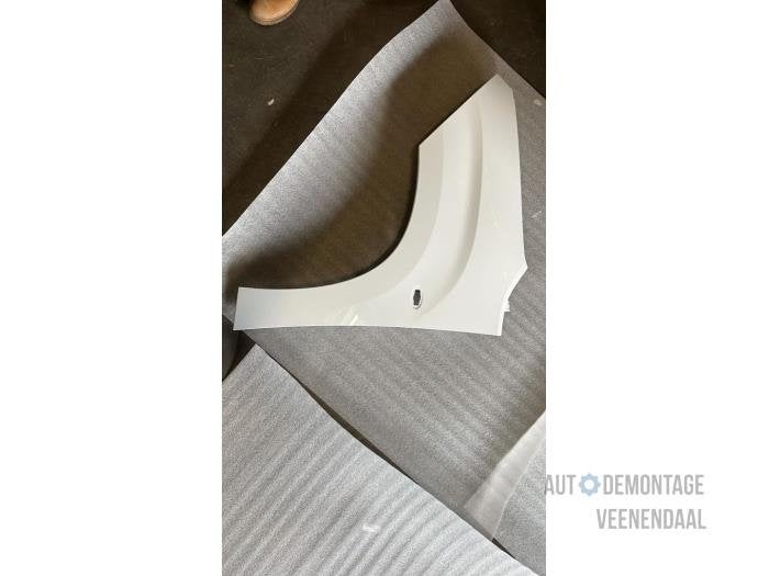 Scherm links-voor van een Citroen Berlingo (EWP), -, Nieuw, Ophalen of Verzenden, -