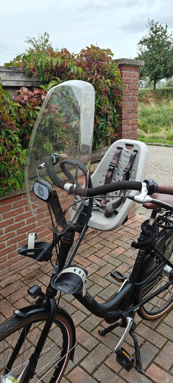 Yepp kinderzitje met windscherm, Fietsen en Brommers, Fietsaccessoires | Fietsstoeltjes, Ophalen, Voorzitje, Thule Yepp, 0 t/m 13 kg