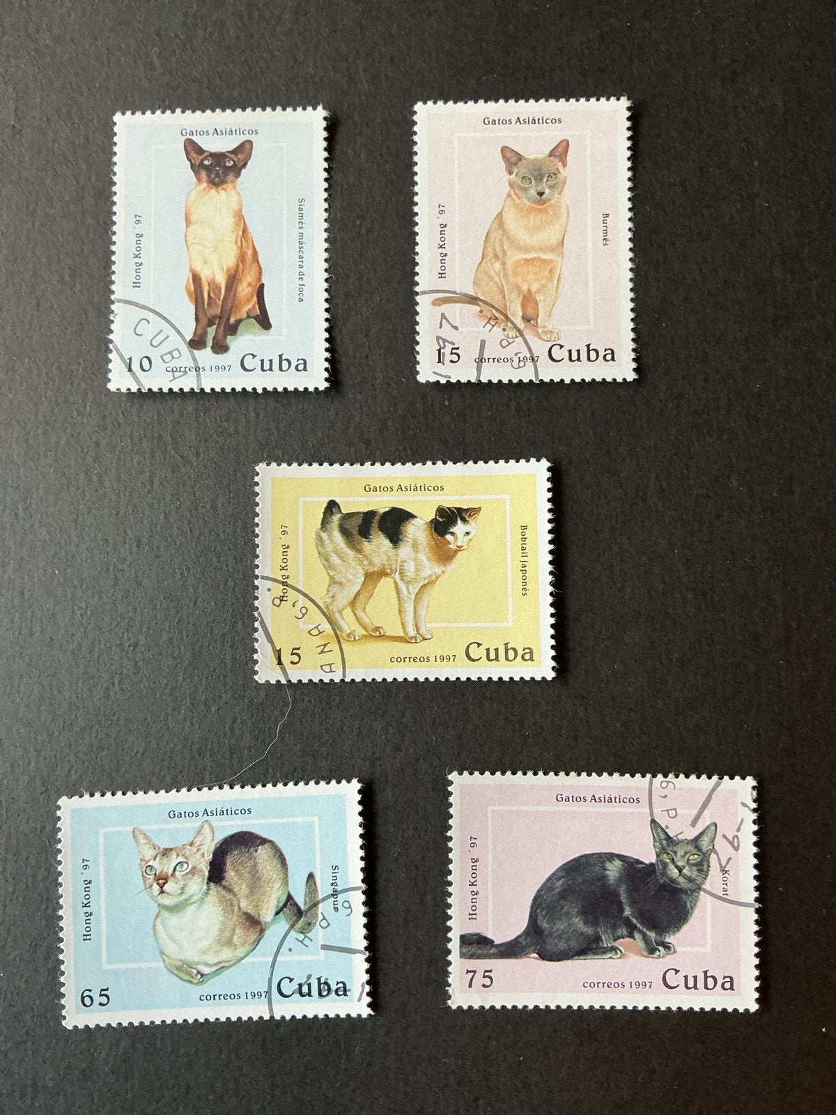 Katten Katzen Cats Cuba 1997 'Gatos Asiáticos', Verzenden, Gestempeld