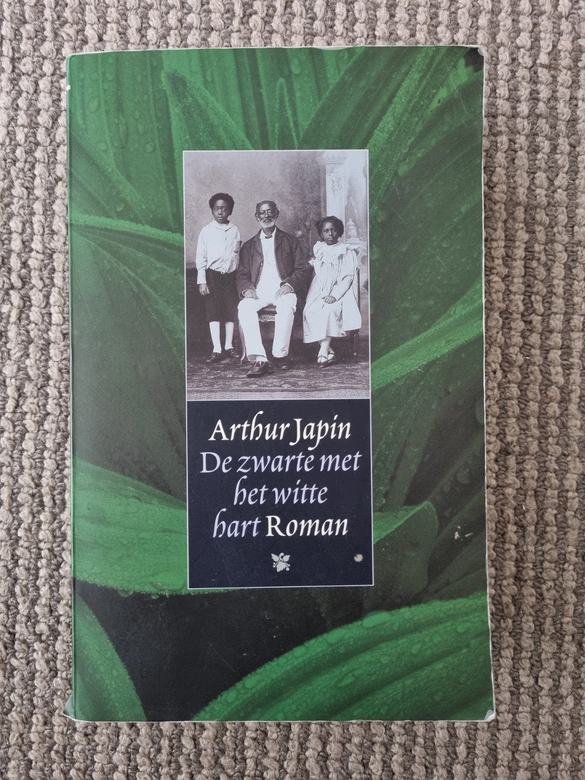 Arthur Japin - De zwarte met het witte hart, Ophalen of Verzenden, Gelezen, Arthur Japin