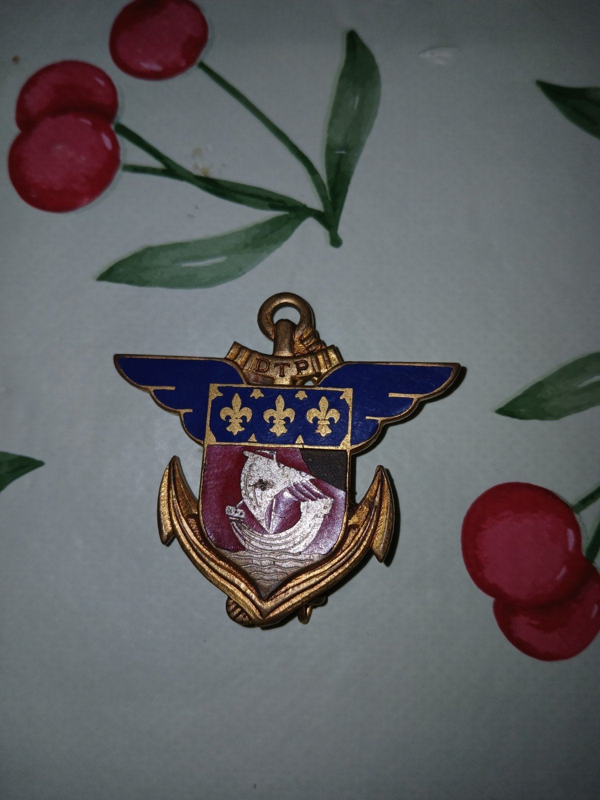 franse DTP speldje, Verzamelen, Militaria | Algemeen, Ophalen of Verzenden, Landmacht, Overige gebieden, Embleem of Badge