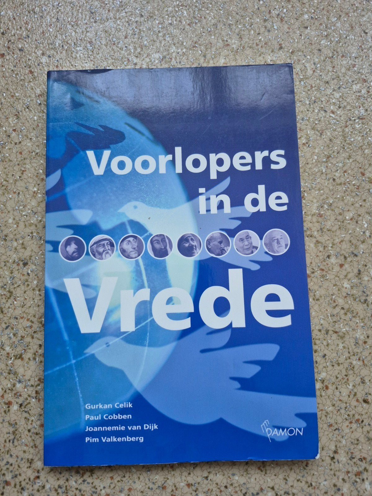 Voorlopers in de Vrede - Boek over religie en vrede, Boeken, Godsdienst en Theologie, Ophalen of Verzenden, Gelezen, Gurkan Celik, Paul Cobben, Joannemie van Dijk, Pim Valkenberg