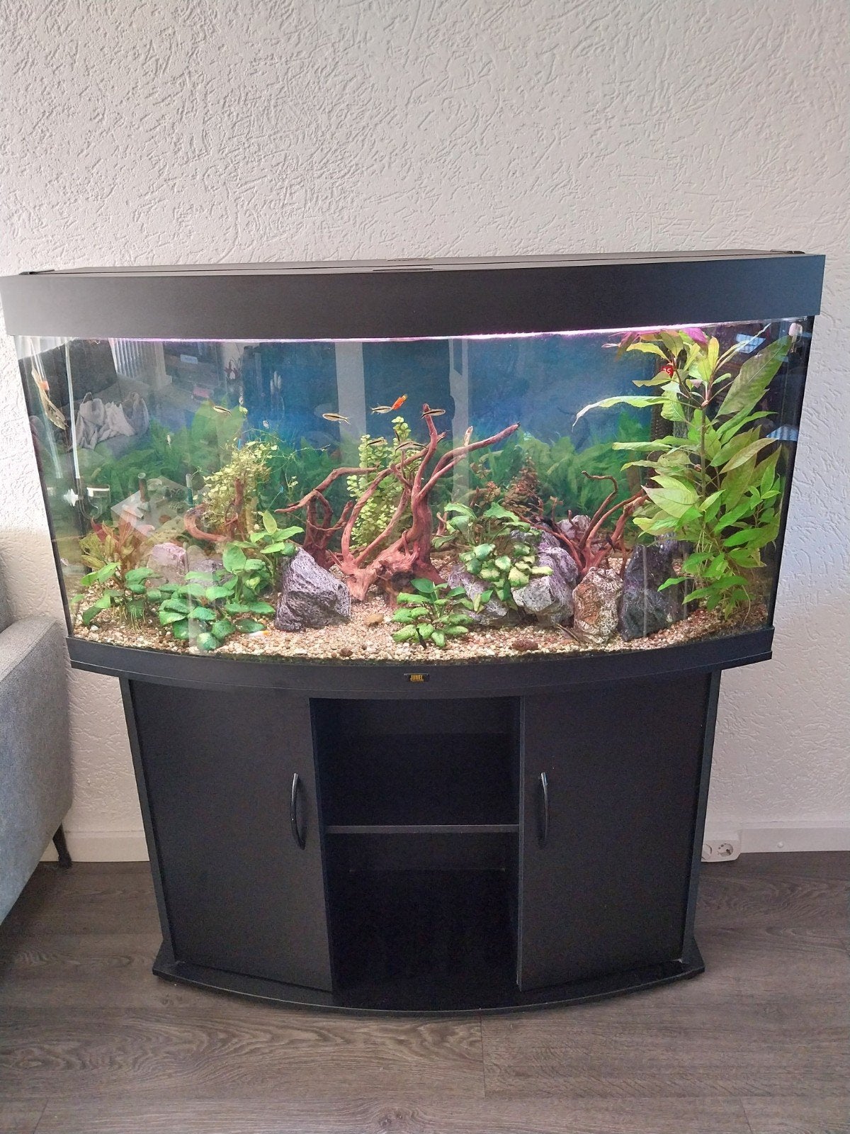 aquarium Juwel vision 260, Dieren en Toebehoren, Vissen | Aquaria en Toebehoren, Ophalen, Gebruikt, Juwel aquarium, Leeg aquarium