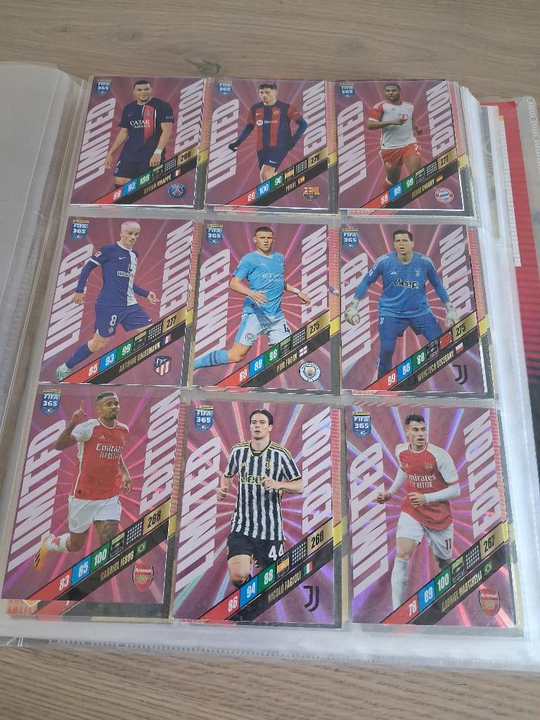 Panini limited edition 2024, Ophalen of Verzenden, Zo goed als nieuw, Plaatje