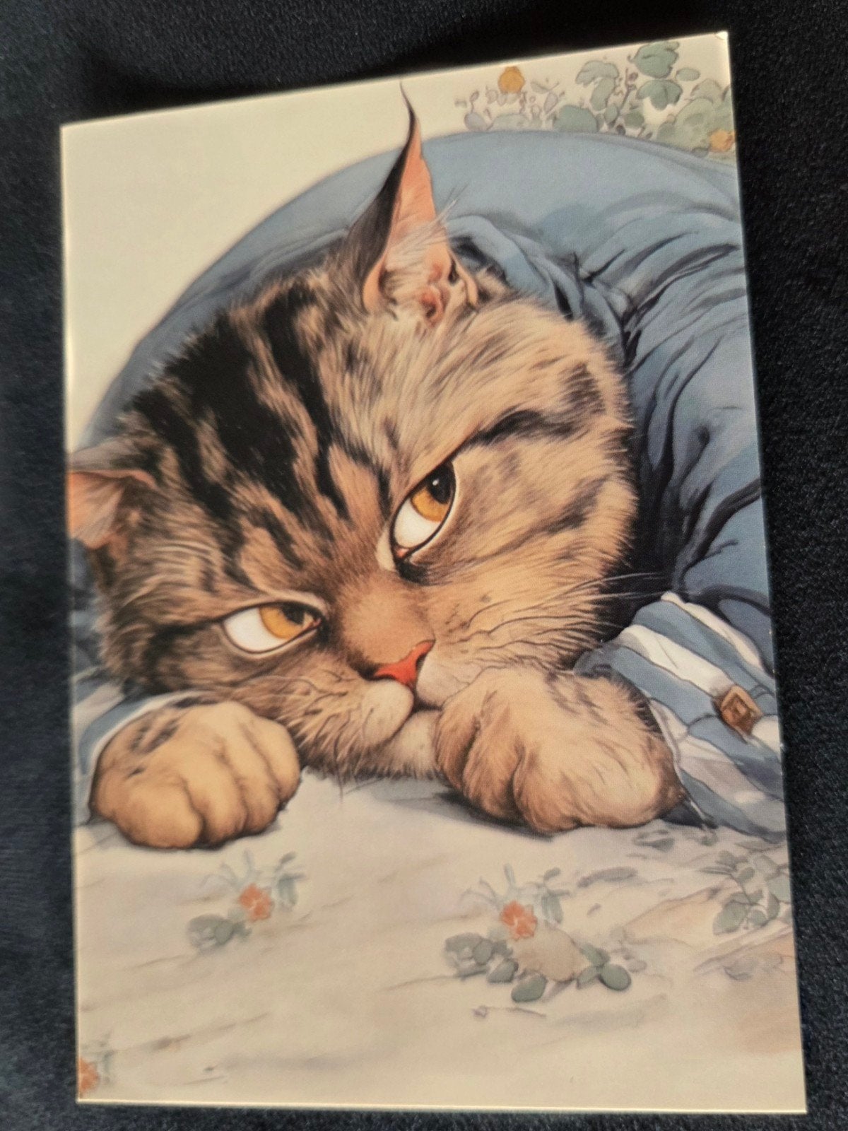 Kat in Pyjama, Verzenden, 1980 tot heden, Ongelopen, Kinderen