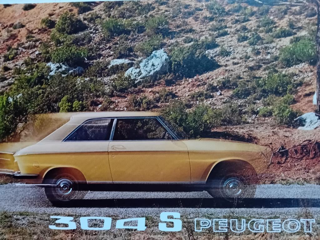 Brochure Peugeot 304 Coupe en Cabriolet, Ophalen of Verzenden, Zo goed als nieuw, Peugeot