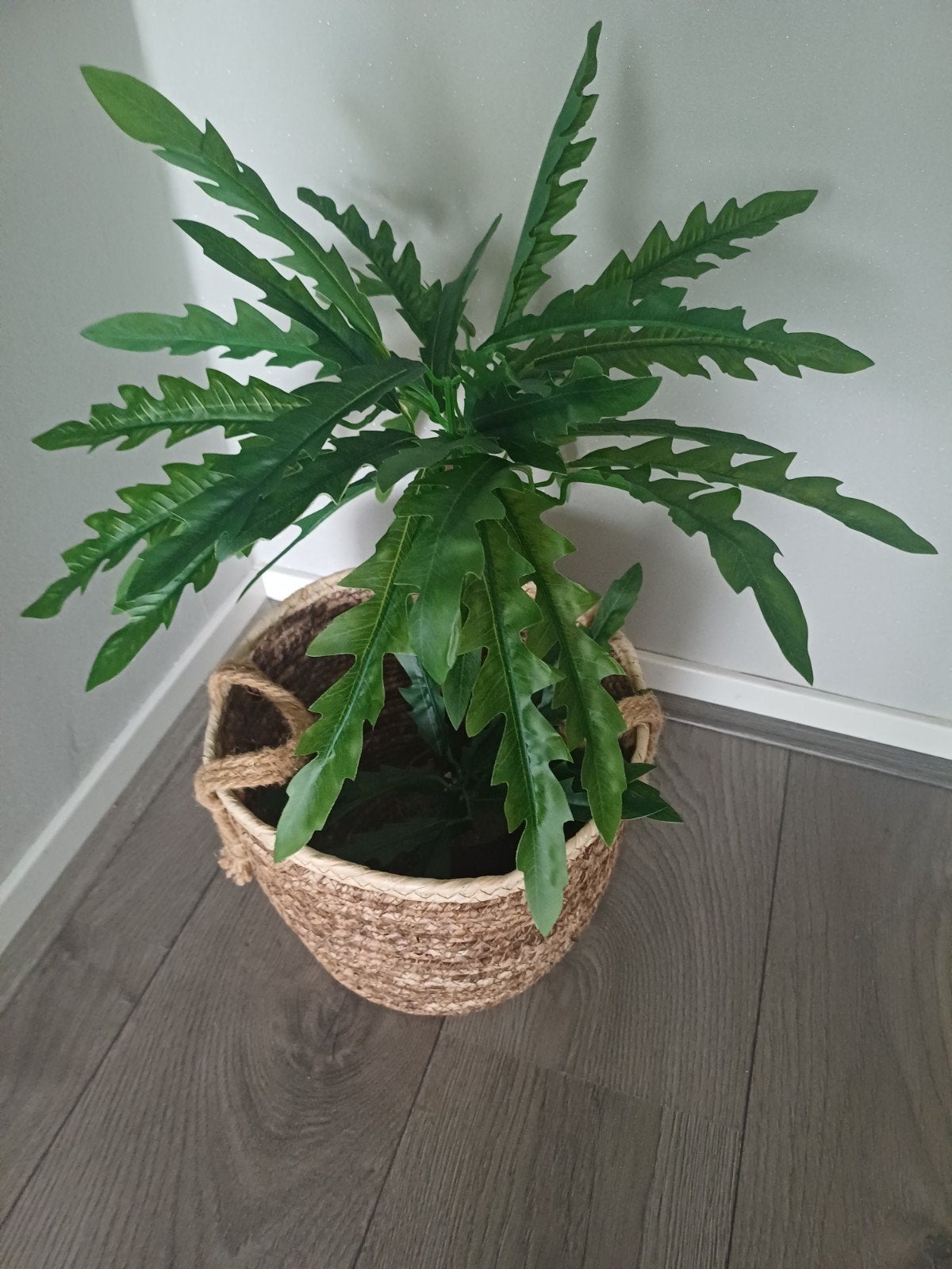 Kunstplant in rieten mand - Groene decoratie, Binnen, Groen, Onderhoudsvrij, Kunstplant