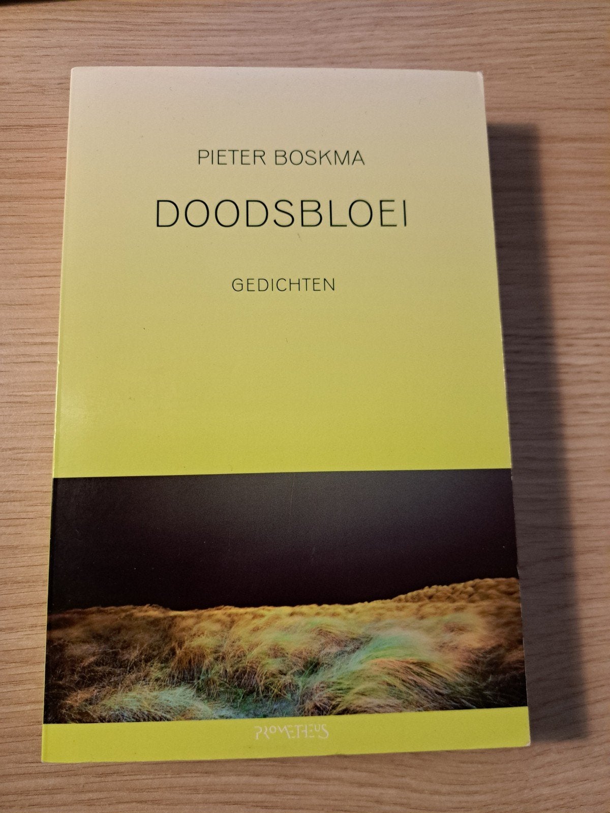 Doodsbloei - Pieter Boskma (Gedichten), Ophalen of Verzenden, Zo goed als nieuw, Pieter Boskma, Eén auteur