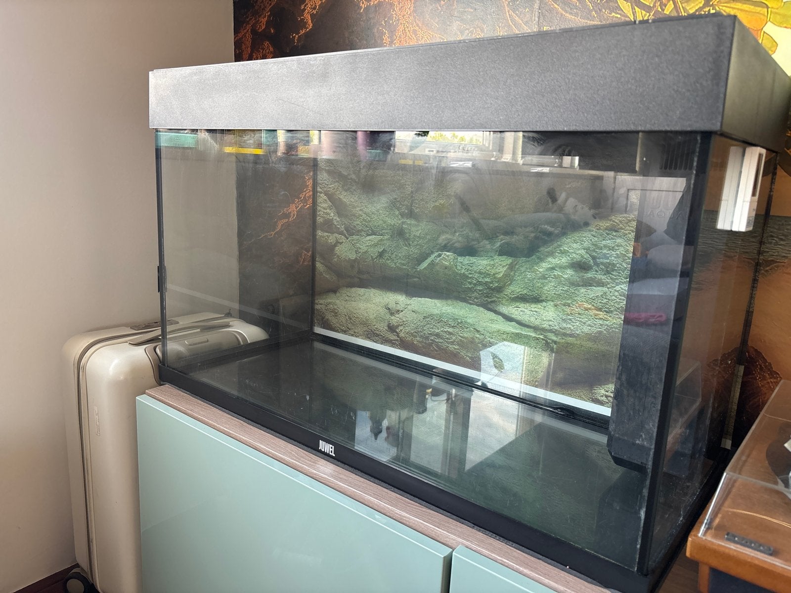 Juwel aquarium, Ophalen, Leeg aquarium