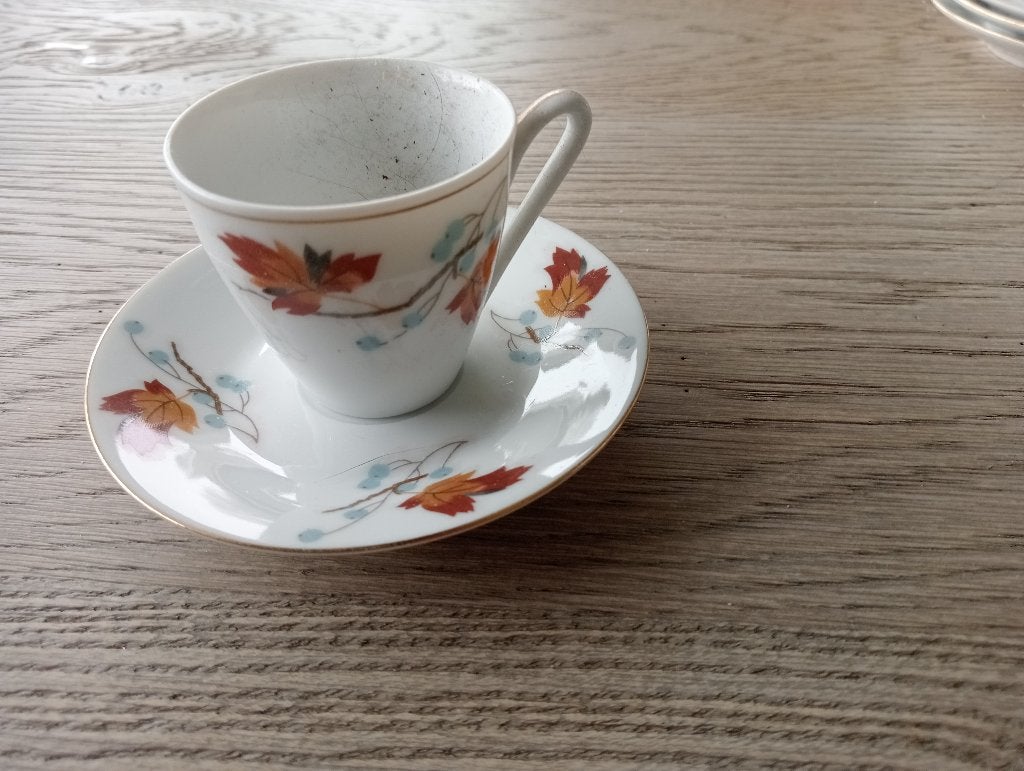 6 vintage espresso kop en schotels, Ophalen of Verzenden, Gebruikt, Porselein, Kop en/of schotel