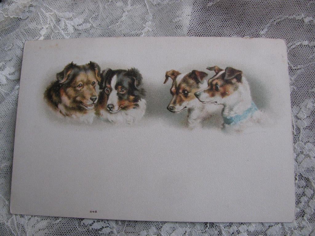 Antieke Kaart met 4 Kleine Honden / Terrier, Verzenden, Voor 1920, Ongelopen, Overige thema's