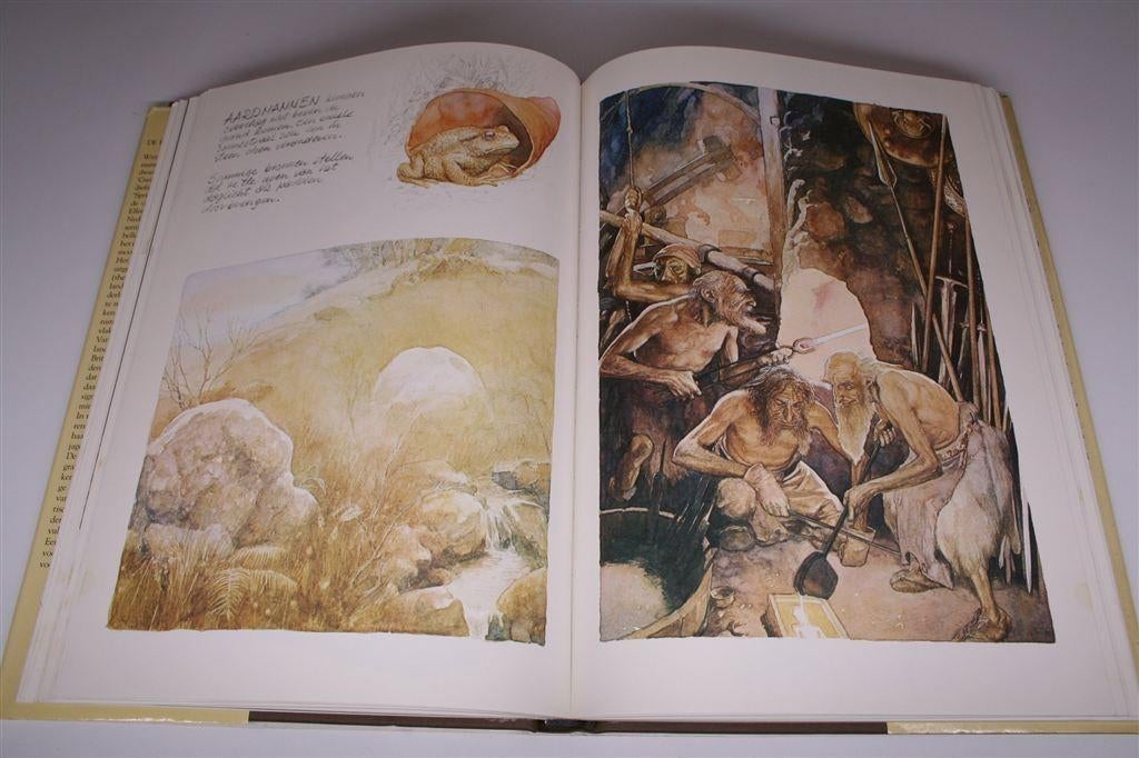 De Elfen door Brian Froud & Alan Lee — Klassiek Kunstboek, Boeken, Ophalen of Verzenden, Gelezen