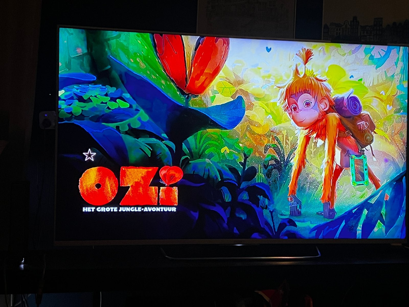 Sony Bravia, Ophalen, Gebruikt, 50 Hz, LCD