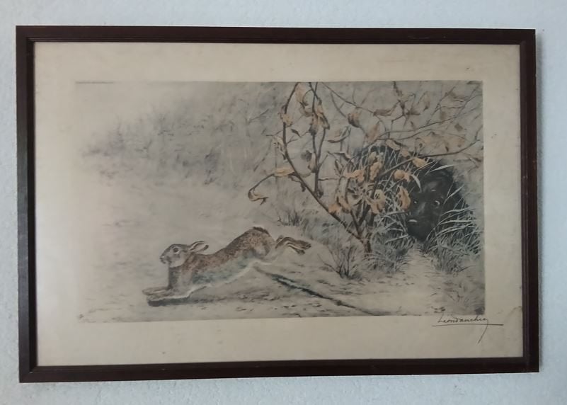 Leon Danchin, Ophalen, Dieren en Natuur