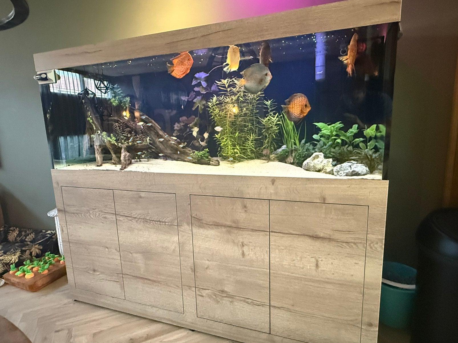 Te Koop: Maatwerk Aquarium(180cm) Dibond meubel RVS frame, Ophalen, Zo goed als nieuw