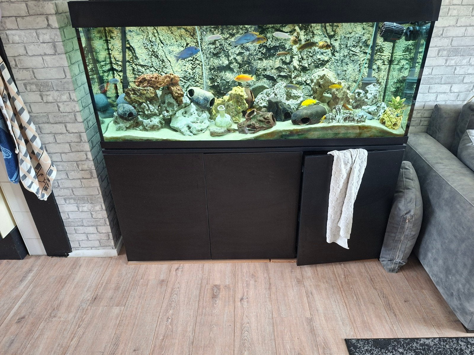 Super mooi aquarium, Ophalen, Zo goed als nieuw, Gevuld zoetwateraquarium