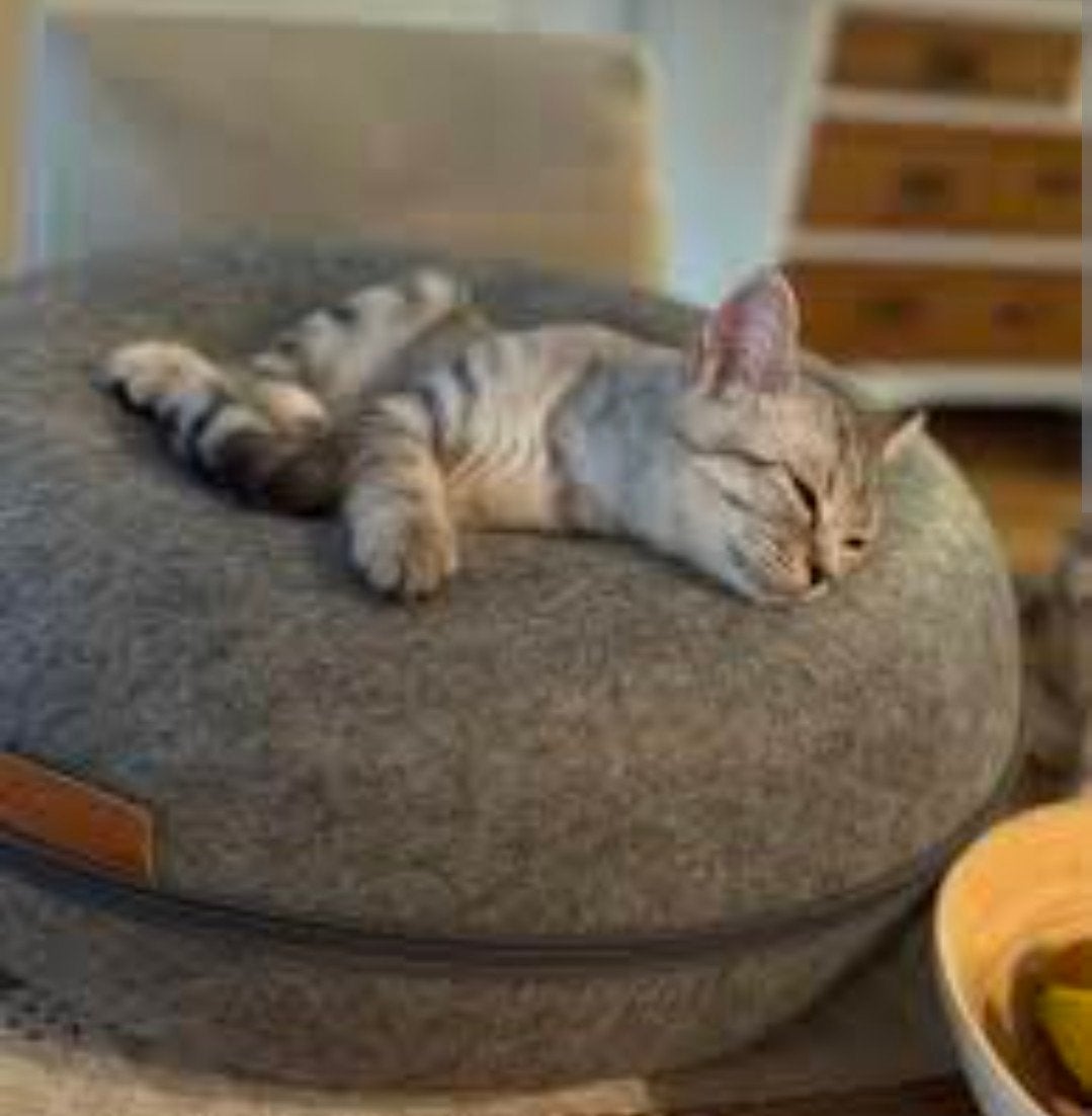 Kattenmand en donut, Ophalen, Zo goed als nieuw, Vilt