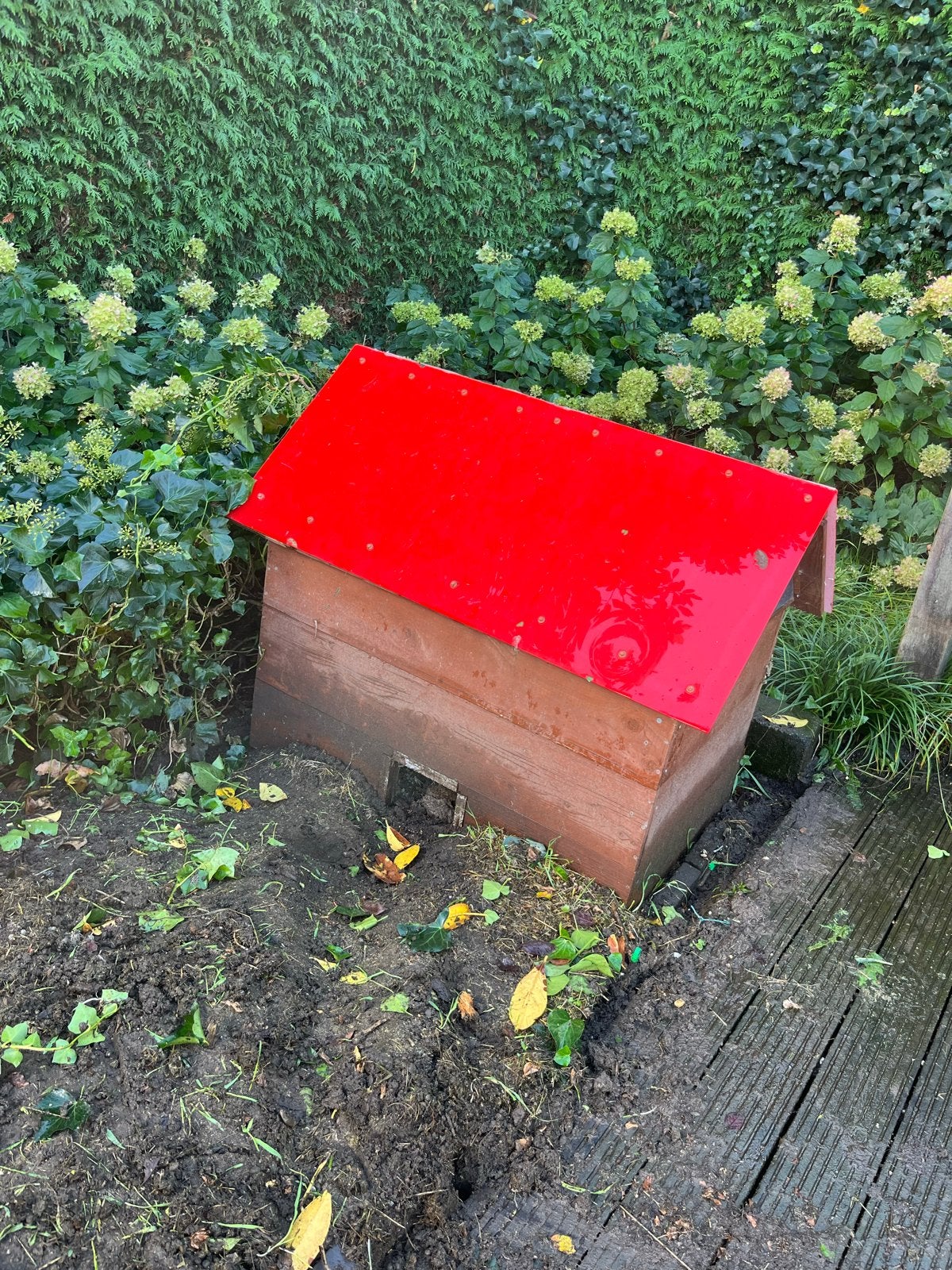 Houten konijnenhok met rood dakje, Hok, Ophalen, Minder dan 60 cm, 110 cm of meer