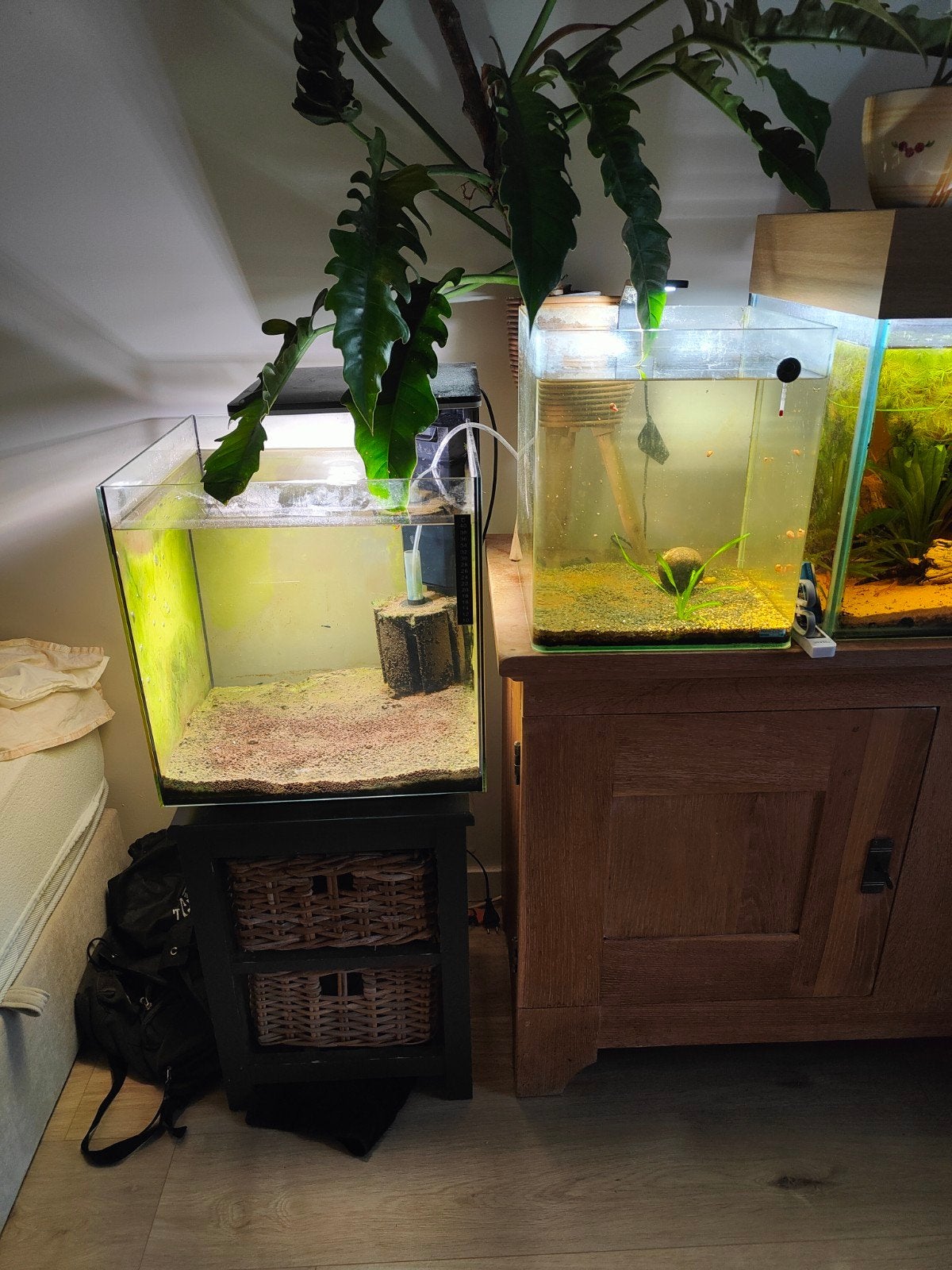 twee aquariums, Dieren en Toebehoren, Ophalen, Dennerle, Zo goed als nieuw, Grind, Zand of Voedingsbodem